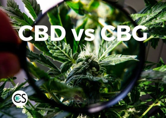 CBD vs CBG : Connaître les différences et les bienfaits du CBG