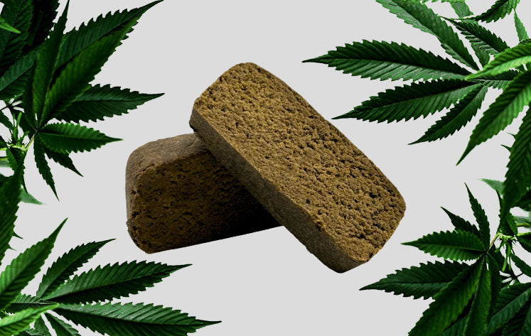 Image résine CBD entouré de feuilles de cannabis - Pollen CBD - La Feuille Posée - CBD Paris
